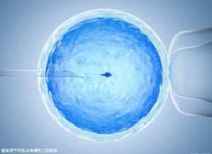 同性借卵助孕包生儿子